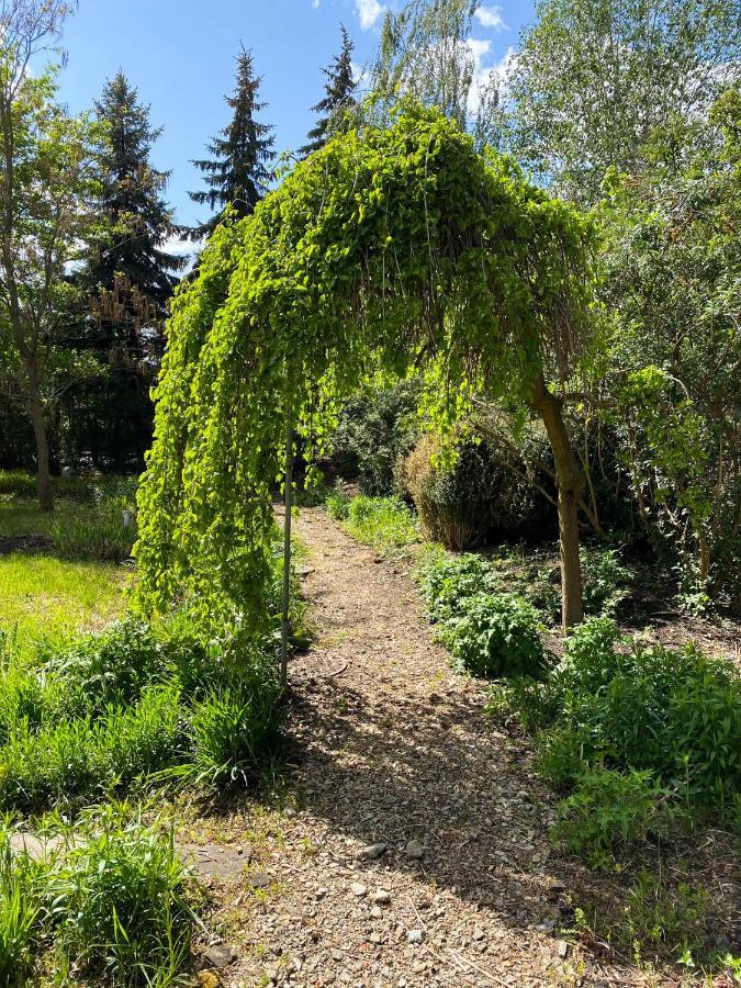 Hotel Garden Олєшніца Екстер'єр фото
